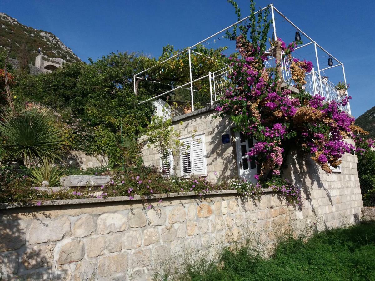 Apartman Matic Ston Bagian luar foto